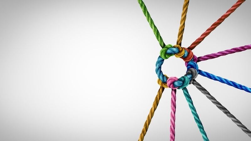 multi-vendor management maturity level